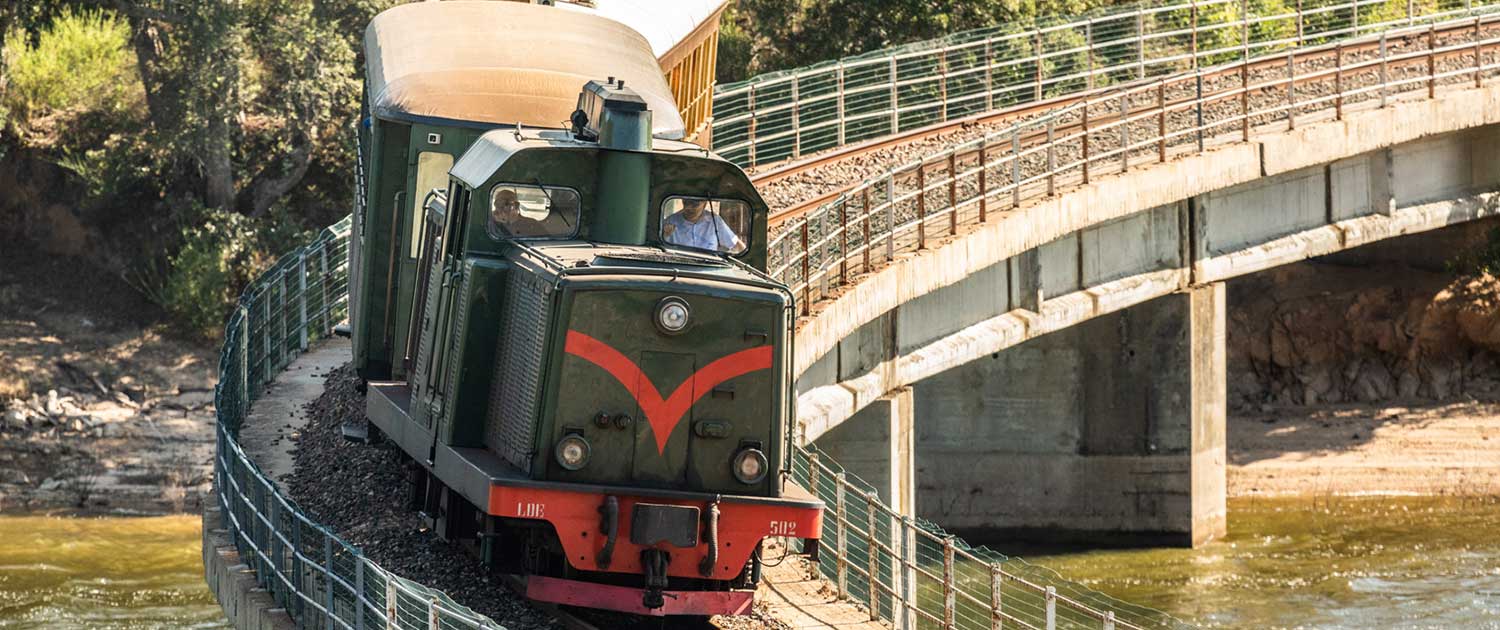 Green train of Sardinia on Lake Liscia
